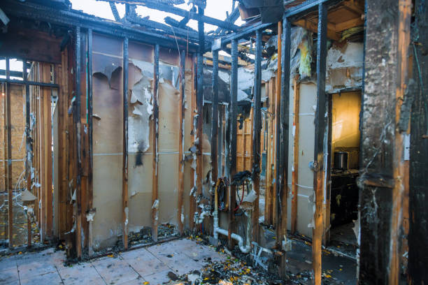 Professional Fire Damage Removal technician working in Merrydale, LA